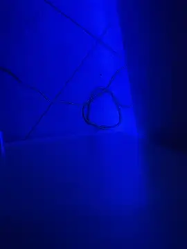 Bennyben8604 online show from 12-07-24, 09:11