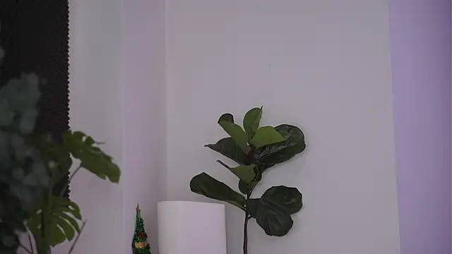 Snapshot of NicoleSarahX chatting on 02-07-25, 11:24 NicoleSarahX online show from 02-07-25, 11:24