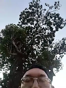 Natanzinhoz online show from 12-03-25, 08:07