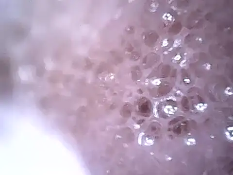 Beijing2000 online show from 12-19-24, 02:45