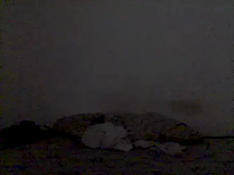 mariy  online show from 03-03-25, 09:48