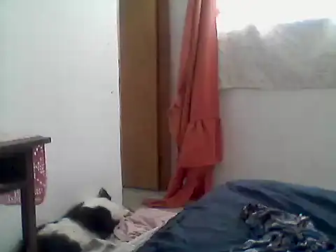 Snapshot of mariy_ chatting on 12-01-25, 03:50 mariy online show from 12-01-25, 03:50