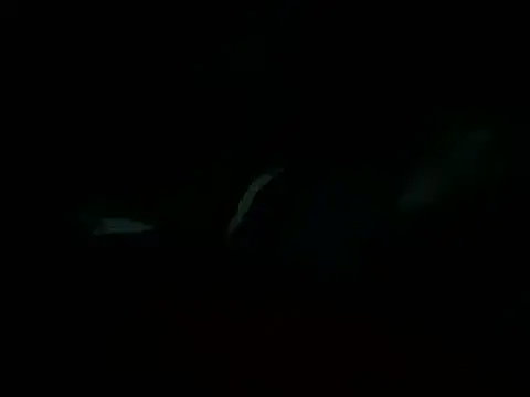 Billythekidd1978 online show from 03-22-25, 05:20