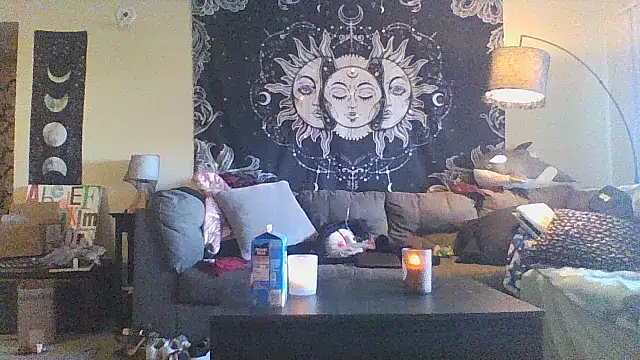 halobabe7620 online show from 12-30-24, 08:04