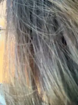 miacanela xo online show from 10-11-25, 10:08