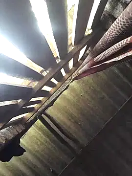 Snapshot of HotSexyBoudi chatting on 09-28-25, 09:14 HotSexyBoudi online show from 09-28-25, 09:14