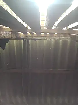 Snapshot of HotSexyBoudi chatting on 10-05-25, 08:45 HotSexyBoudi online show from 10-05-25, 08:45