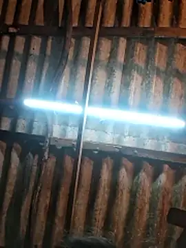 Snapshot of HotSexyBoudi chatting on 01-09-26, 09:45 HotSexyBoudi online show from 01-09-26, 09:45