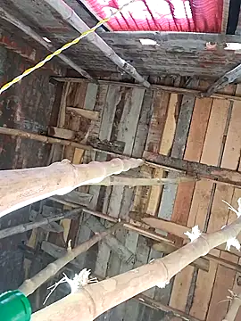 Snapshot of HotSexyBoudi chatting on 02-16-26, 08:21 HotSexyBoudi online show from 02-16-26, 08:21