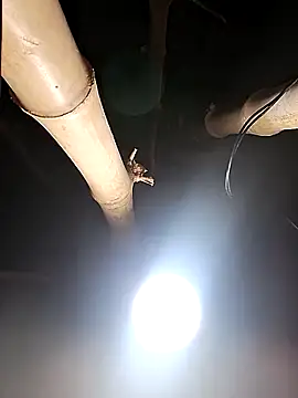 Snapshot of HotSexyBoudi chatting on 02-26-26, 08:24 HotSexyBoudi online show from 02-26-26, 08:24