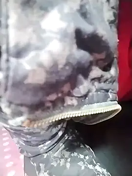 Dangky1 online show from 02-03-25, 04:25