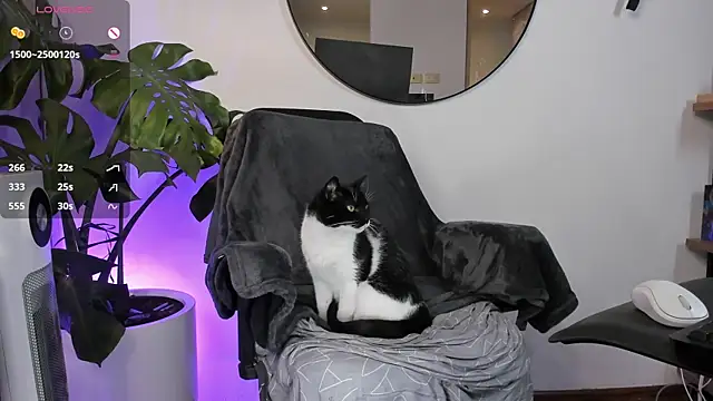 ariana fitl  online show from 01-28-25, 03:47