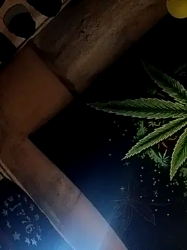 ySqmbVanbe online show from 10-17-25, 02:41