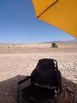 FloppyPickle4u online show from 04-27-26, 09:02