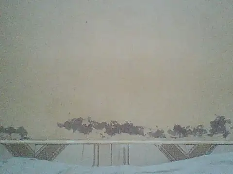 Naivegirrl online show from 07-03-26, 10:43