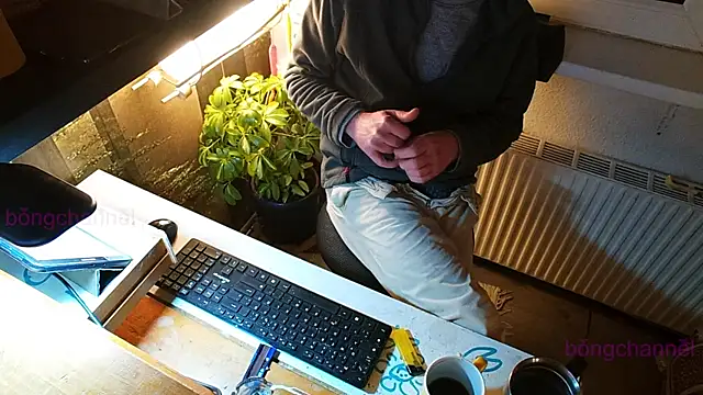 Snapshot of BongChannel chatting on 01-13-25, 10:56 BongChannel online show from 01-13-25, 10:56