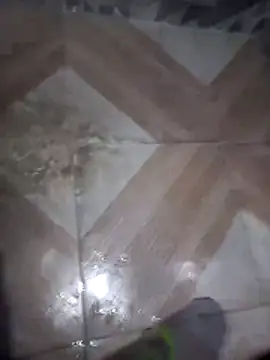 Snapshot of putosafado669 chatting on 12-22-25, 01:19 putosafado669 online show from 12-22-25, 01:19