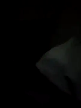 tessafontana37 online show from 01-03-25, 02:32