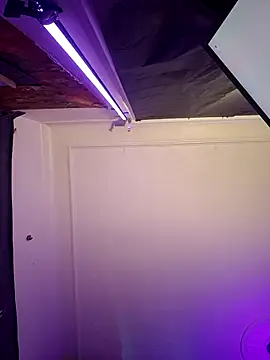 Snapshot of Tony_Torrente chatting on 03-17-26, 07:55 Tony Torrente online show from 03-17-26, 07:55