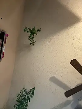 Snapshot of magicalc00ch chatting on 03-16-25, 09:37 magicalc00ch online show from 03-16-25, 09:37