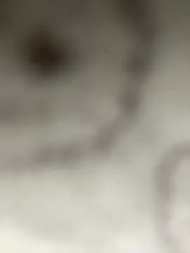 Snapshot of Leyna_liu chatting on 01-11-25, 03:13 Leyna liu online show from 01-11-25, 03:13