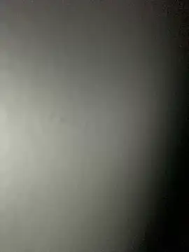 Snapshot of Leyna_liu chatting on 02-04-25, 08:46 Leyna liu online show from 02-04-25, 08:46