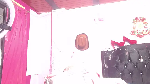 Snapshot of NikkiRous_ chatting on 03-22-25, 01:08 NikkiRous online show from 03-22-25, 01:08