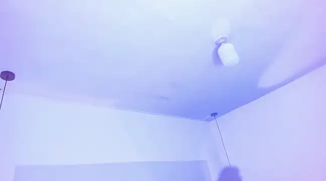 Emily Gil1 online show from 03-19-25, 08:00