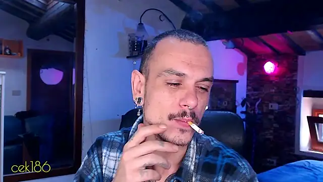 cek 186 online show from 11-08-25, 08:47