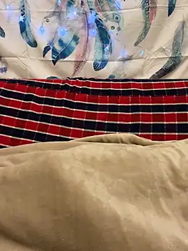 Snapshot of A6229 chatting on 01-11-25, 02:36 A6229 online show from 01-11-25, 02:36