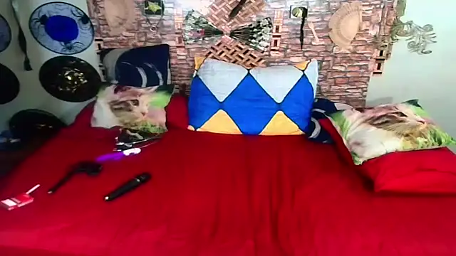 Indian Blaze00 online show from 10-04-25, 10:46