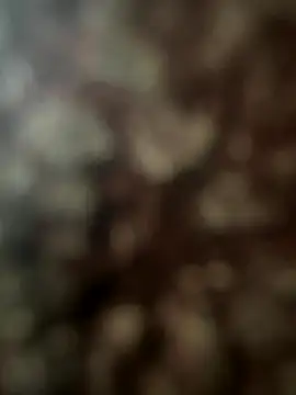 FrutenFratenR9 online show from 11-11-25, 11:21