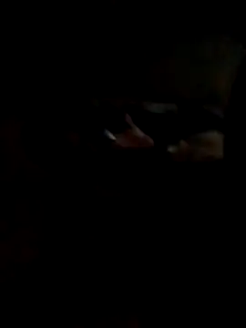 Hedygostozin online show from 03-14-26, 10:32