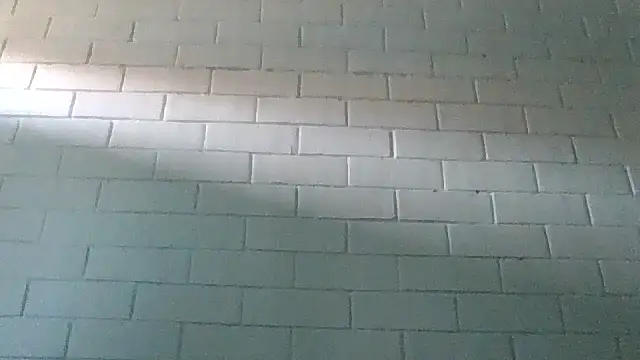 GiveLove1 online show from 02-19-25, 09:36