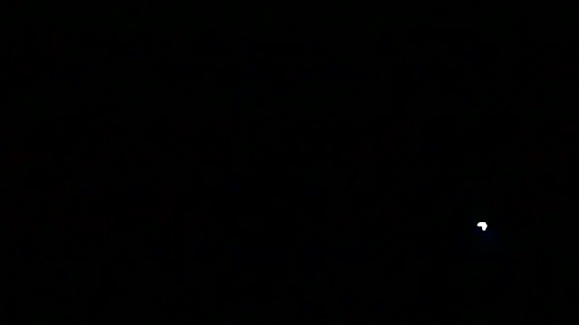 markluvskitty online show from 03-13-26, 02:29