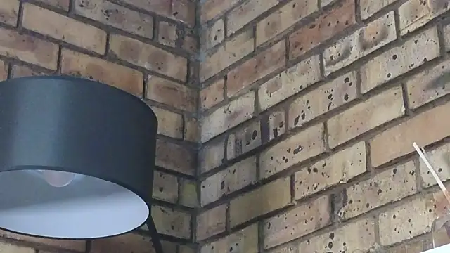 Snapshot of Astoria_Moon chatting on 01-14-26, 12:22 Astoria Moon online show from 01-14-26, 12:22