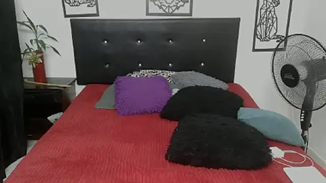 Shanttal0272 online show from 11-29-25, 04:37