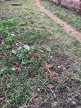 Black-mamba-madingo online show from 10-29-25, 05:14