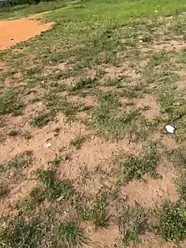 Snapshot of Black-mamba-madingo chatting on 02-14-26, 08:55 Black-mamba-madingo online show from 02-14-26, 08:55