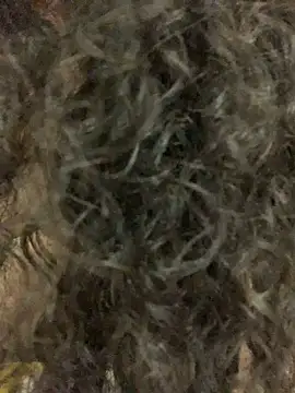 Antoniart  online show from 02-09-25, 06:54