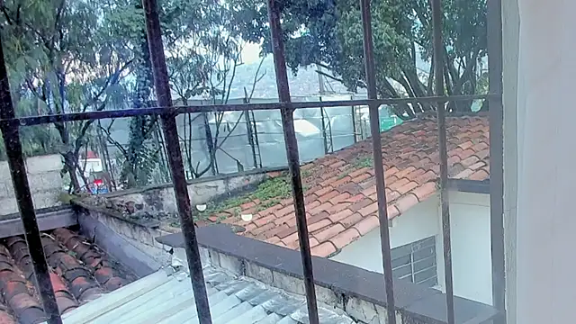 barbara cambels online show from 09-27-25, 08:25