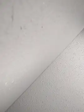 mastbacio online show from 11-20-25, 06:29