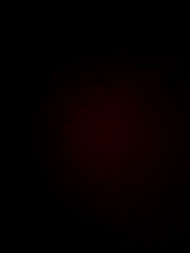 Priya Bong online show from 06-19-26, 01:59
