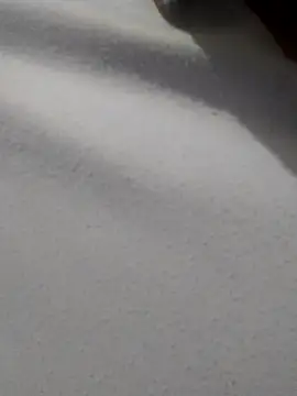  Miaaleon online show from 11-16-25, 10:43