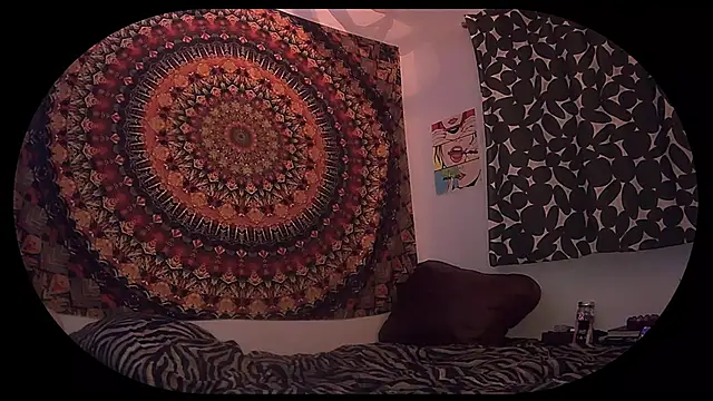 Snapshot of HeyyImHarlowe chatting on 03-02-26, 07:09 HeyyImHarlowe online show from 03-02-26, 07:09