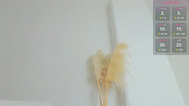 dollface17 online show from 06-19-26, 11:41