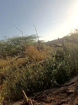 Snapshot of lovesuna chatting on 03-05-25, 02:25 lovesuna online show from 03-05-25, 02:25