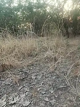 Snapshot of lovesuna chatting on 12-20-25, 02:07 lovesuna online show from 12-20-25, 02:07