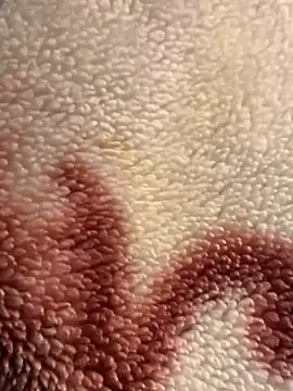 Snapshot of Gengista88 chatting on 03-22-26, 04:16 Gengista88 online show from 03-22-26, 04:16