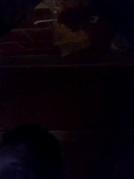 Snapshot of Elvergon3456 chatting on 10-28-25, 04:49 Elvergon3456 online show from 10-28-25, 04:49